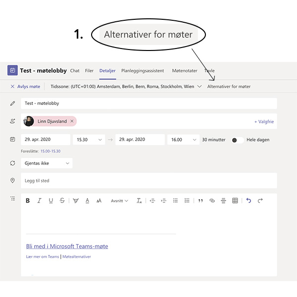 alternativer-for-møtet